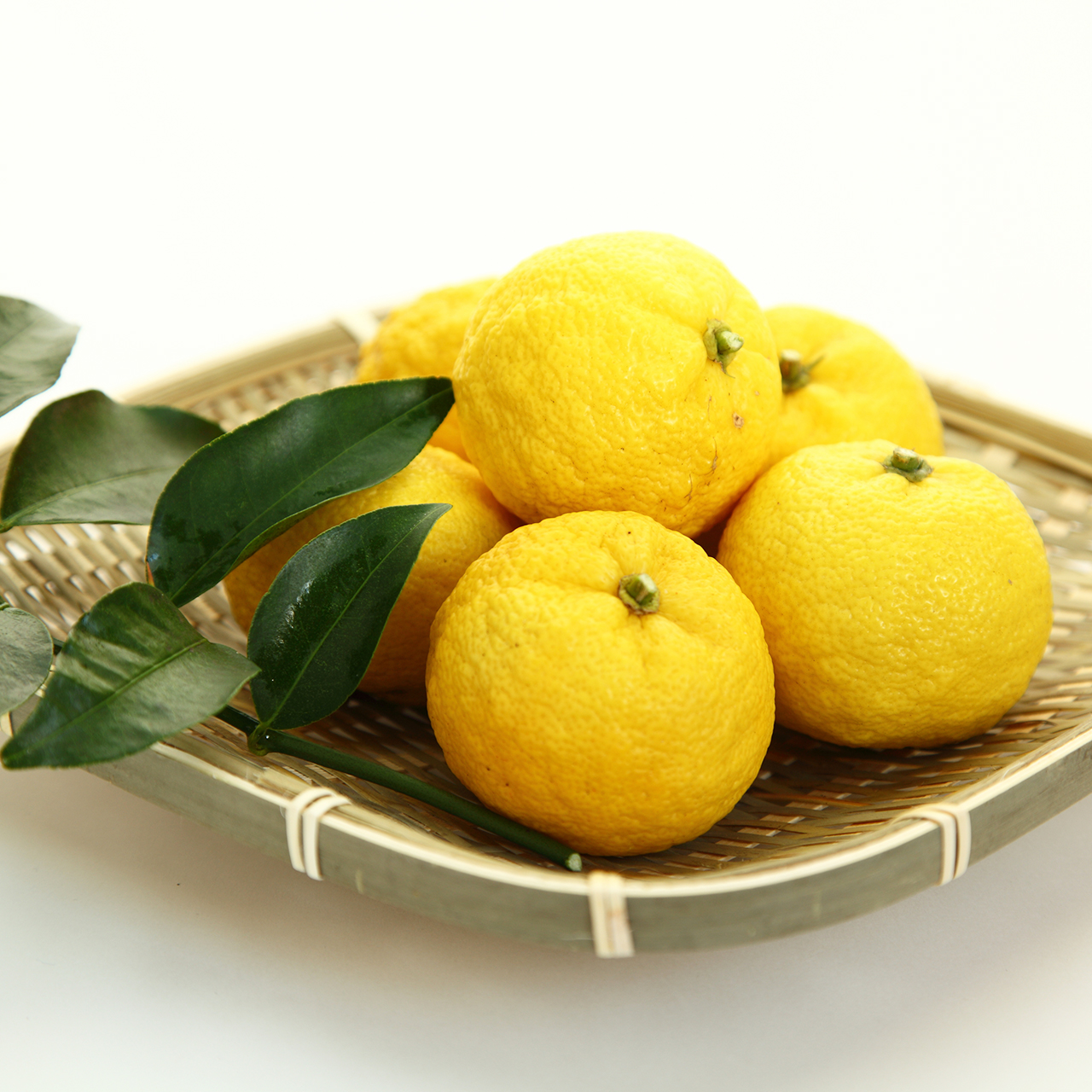 食卓にちょっとした贅沢を。こだわりの自社農園 - 柚香｜CoComel