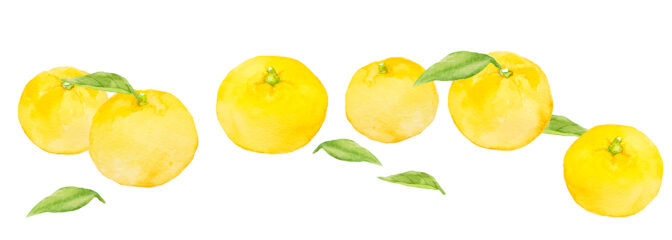 幻の果実柚香のアイテム特集