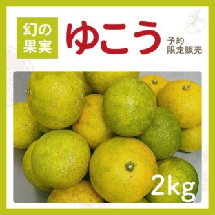 【予約限定販売】ゆこう果実（イエローグリーン）　2kg