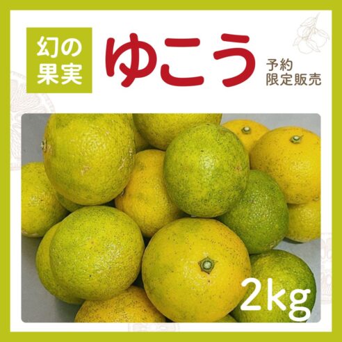 【予約限定販売】ゆこう果実（イエローグリーン）　2kg